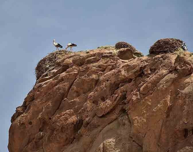 قلعه لک لک ها در استان زنجان شهرستان ماهنشان