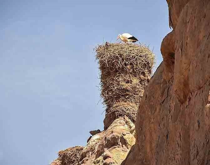 قلعه لک لک ها در استان زنجان شهرستان ماهنشان