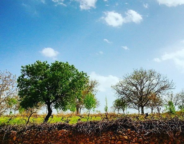 روستای تاریخی درسجین