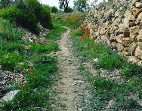 محله های روستای تاریخی درسجین