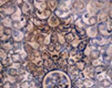 نقوش اسلیمی در تزئینات بنا