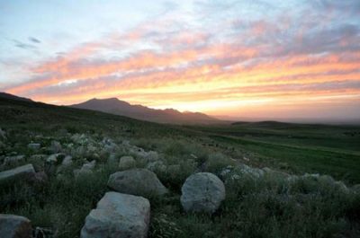 روستای ویر