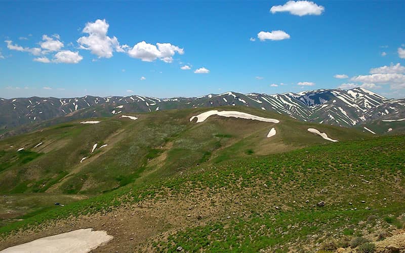 کوهستانی سرسبز