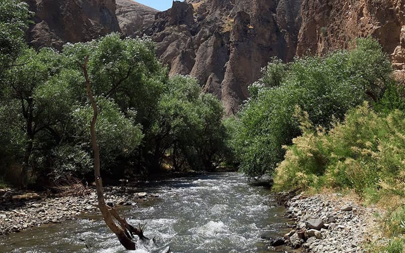جریان رودخانه از دل صخره ها