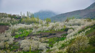 روستای توریستی شیت