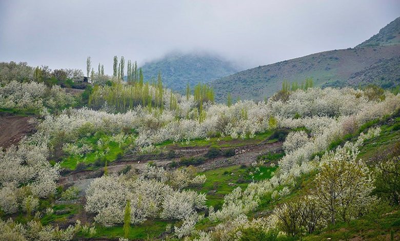 روستای توریستی شیت