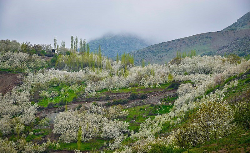 روستای توریستی شیت